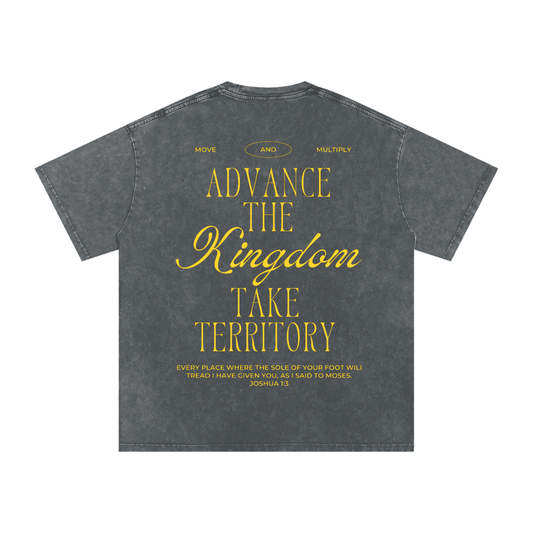 new,advance the kingdom shirt blac