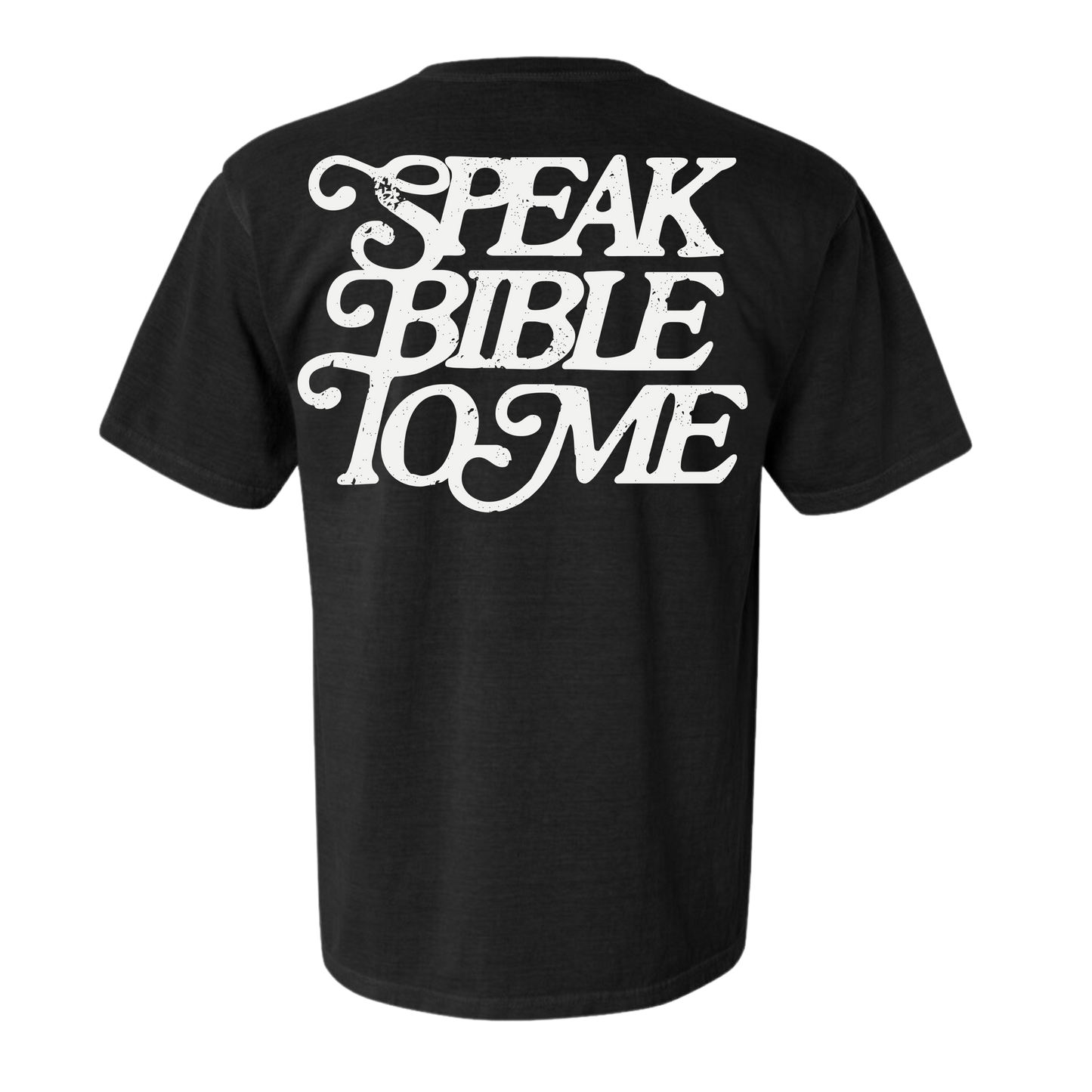 SPEAK BIBLE TO ME